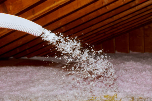 Best Residential Insulation in Hollandale, MS