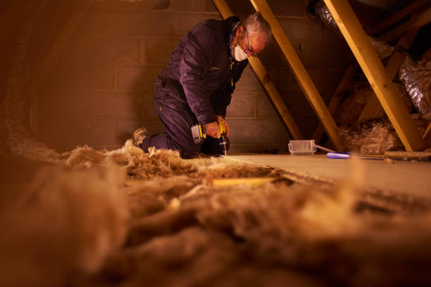 Best Commercial Insulation in Hollandale, MS
