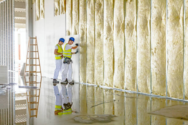 Best Types of Insulation in Hollandale, MS